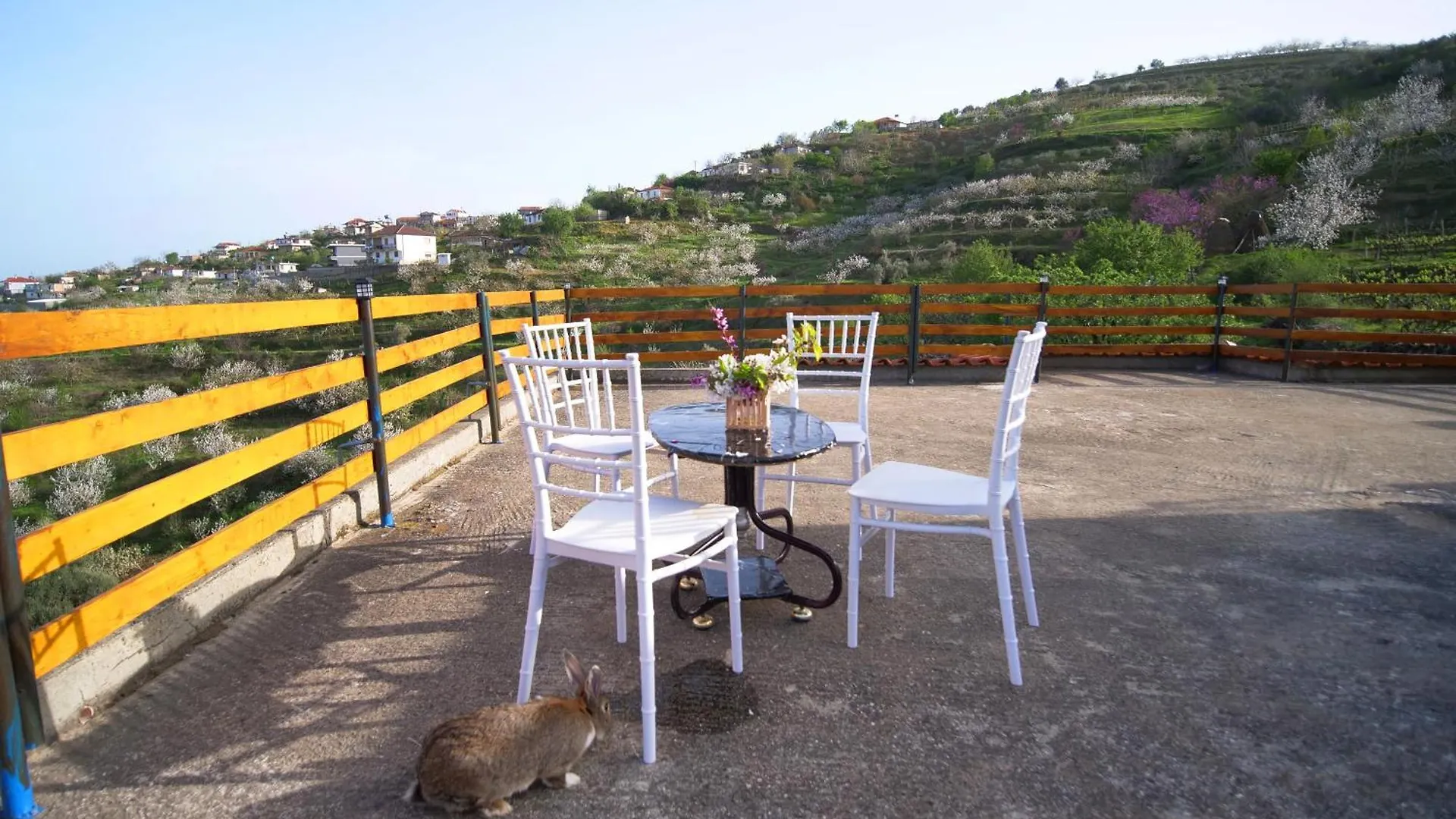 Vila Dean Hotel Berat