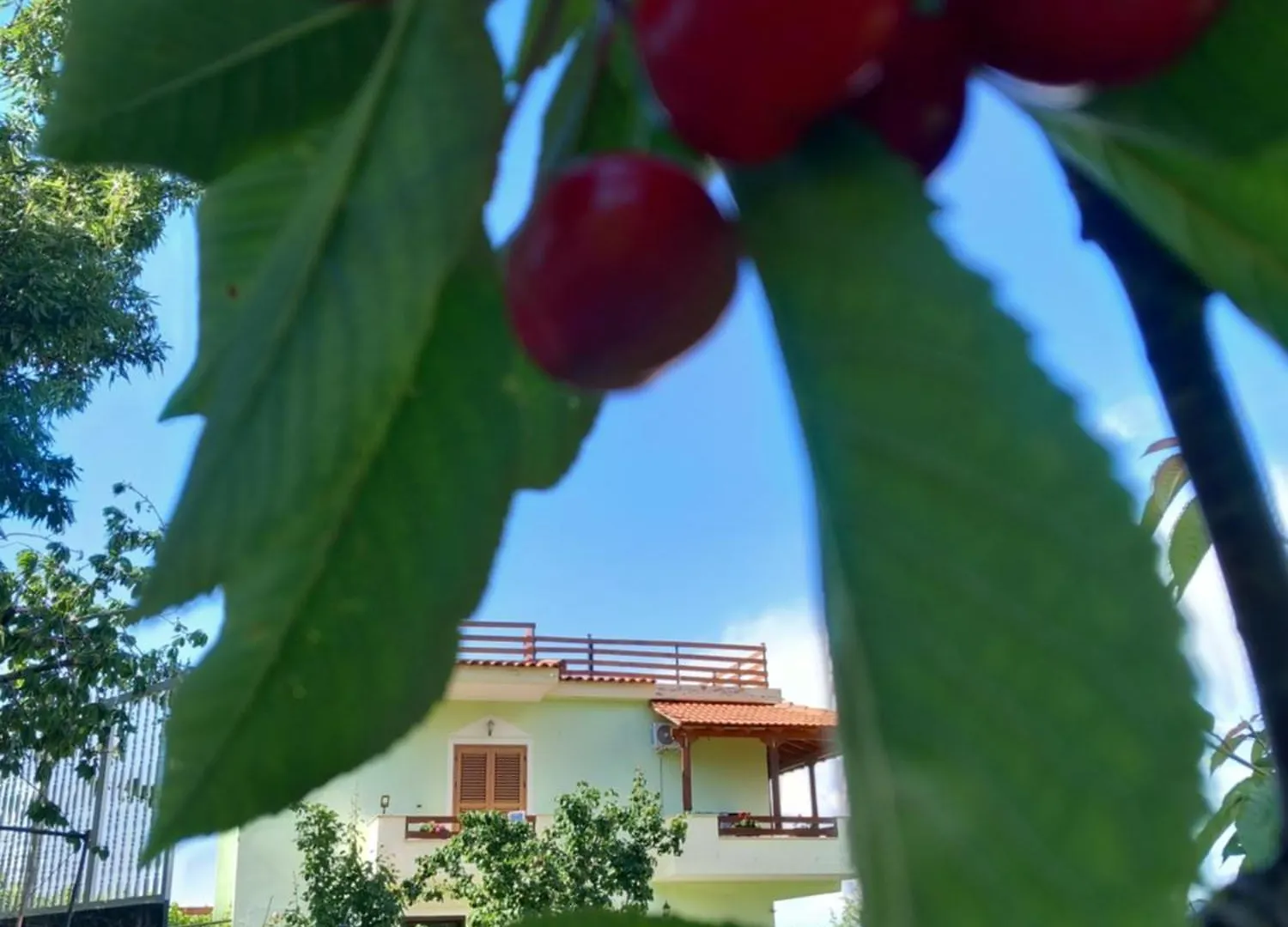 Vila Dean Hotel Berat