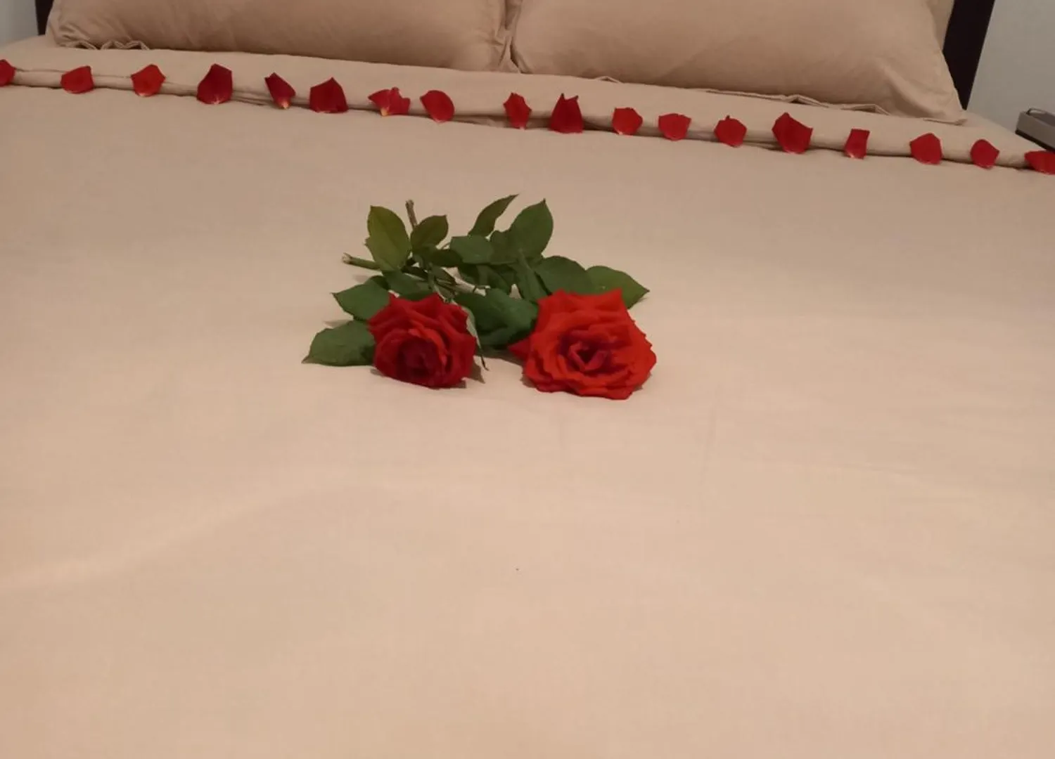 Vila Dean Hotell Berat