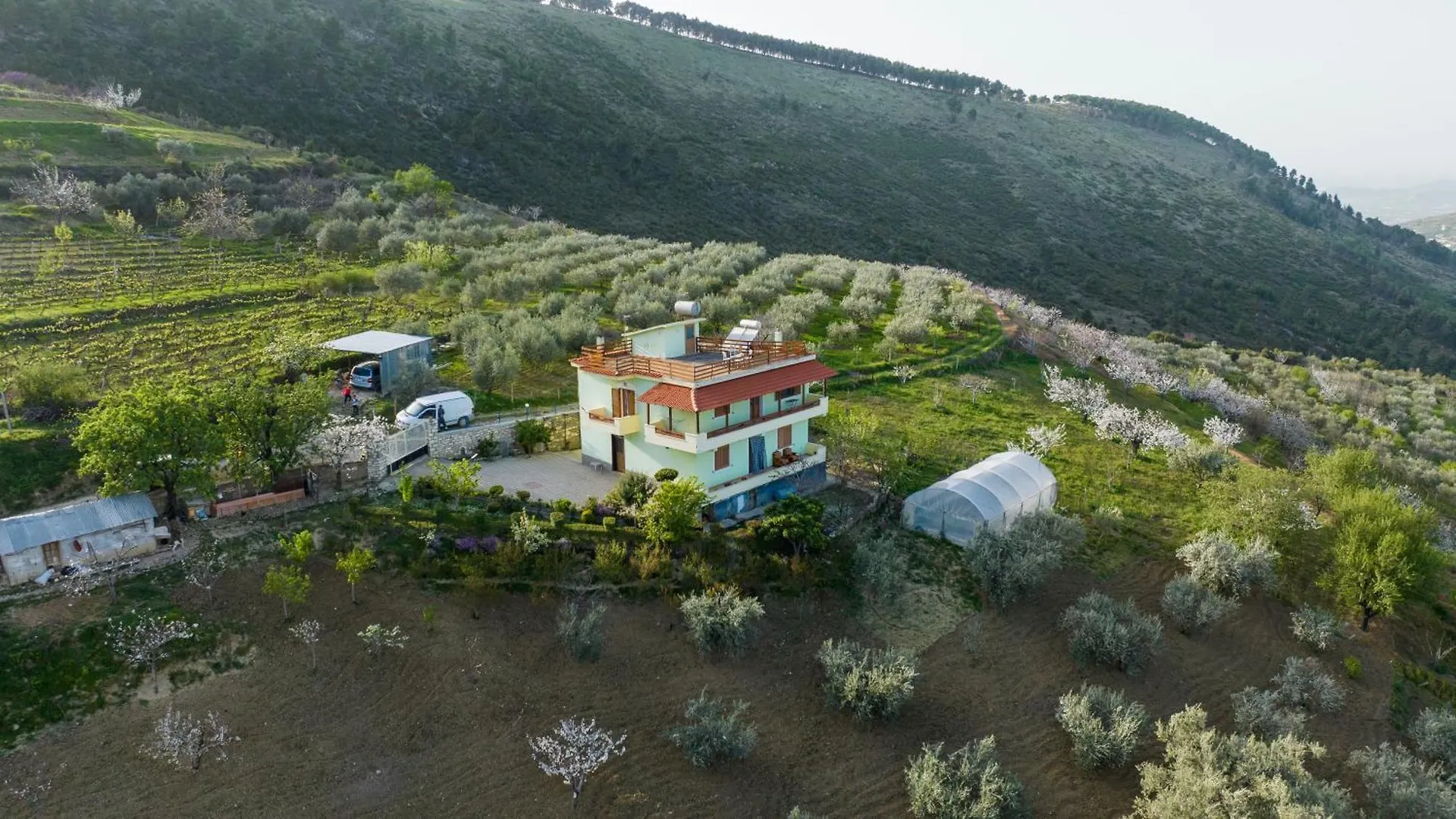 Guest house Vila Dean Hotel Berat